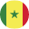 Senegal flag