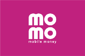 VI MoMo Logo 