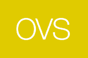 OVS Logo 