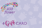 150 pixels wide - Smallest Possible