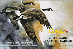 Cabela's Logo 