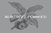 Default PNG - Smallest Possible