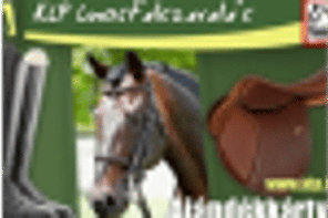 CAP Equestrian Equipment Logo