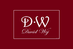 David Wej Logo 