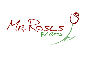 Mr Roses Logo 