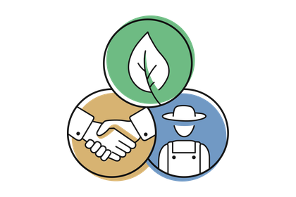 VIONEERS Logo 