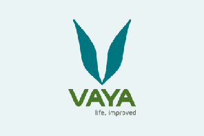 Vaya Logo 