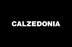 Calzedonia Logo 